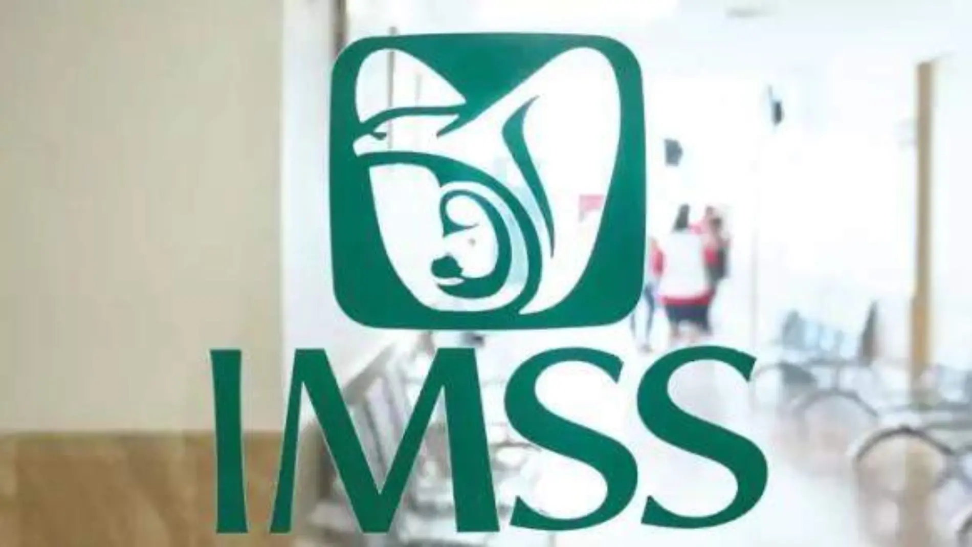 csia imss